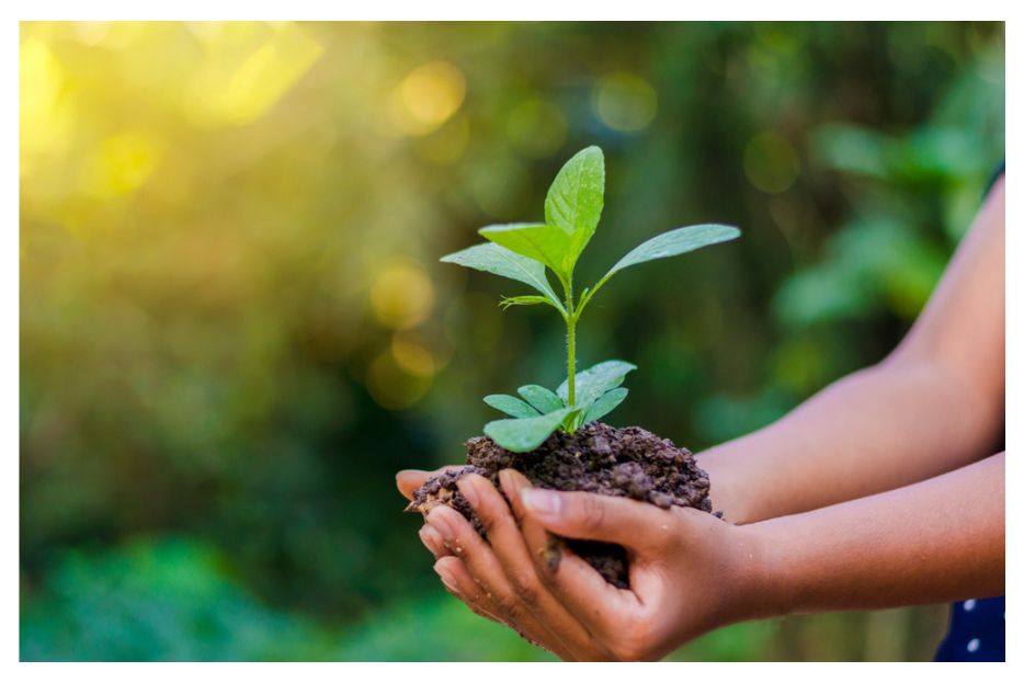 Environmental Conservation in Canada. Women Focus Canada